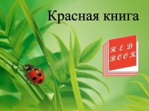 Презентация по биологии на тему Красная книга