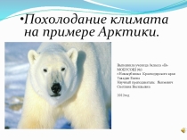 Презентация по географии на тему Арктика