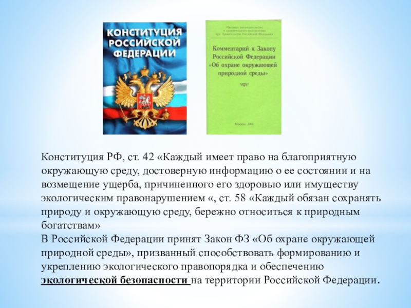 Статья 42 фз. Ст 42 Конституции РФ. Статьи Конституции об экологии. Право на благоприятную окружающую среду экологическое право. Конституция об охране окружающей среды.