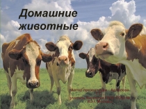 Презентация по биологии на тему Домашние животные