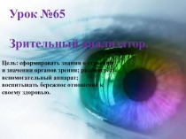 Презентация по биологии 8 класс по теме Зрительный анализатор