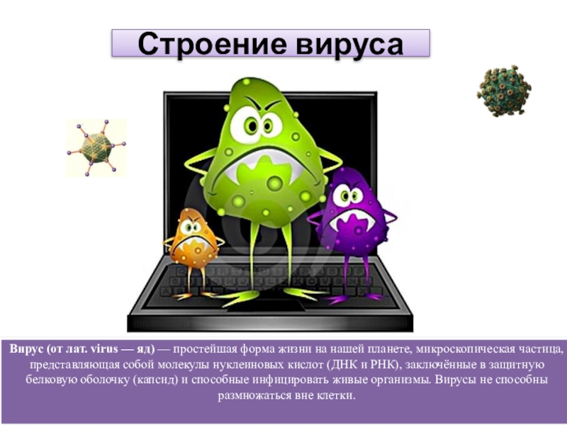 Биология царство вирусы. Царство вирусы. Вирусы вне клетки. Класс вирусов. Вирусы отдельное царство.