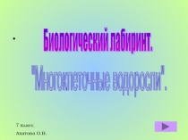 Биологический лабиринт в интересной форме поможет учителю проверить уровень знаний учащихся, так же может использоваться и при изучении нового матеоиала.