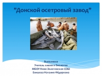 Презентация по биологии Донской осетровый завод