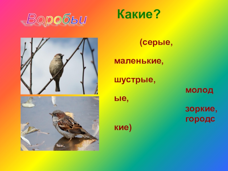 Какой какая какие 1 класс презентация