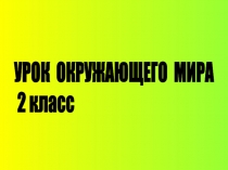 Презентация к уроку окружающего мира Почему их так назвали 2 класс