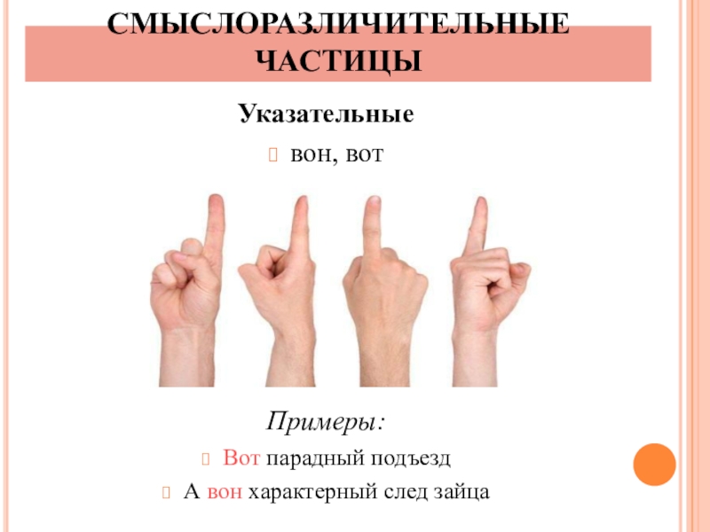 План урока смыслоразличительные частицы