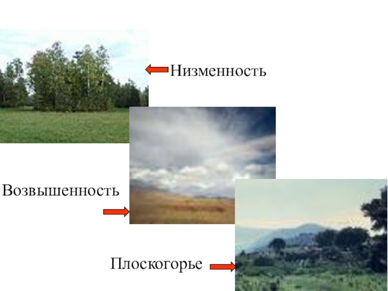 Страна низменность. Низменности возвышенности Плоскогорья. Равнины низменности возвышенности. Примеры низменностей возвышенностей и Плоскогорья. Высота низменности возвышенности и Плоскогорья.