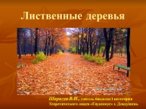 Презентация по биологии на тему Лиственные деревья