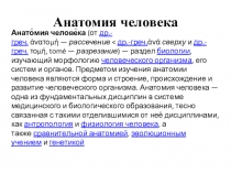 Анатомия человека