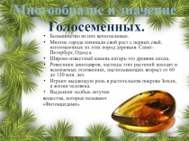 Презентация по биологии.Многообразие и значение Голосеменных.