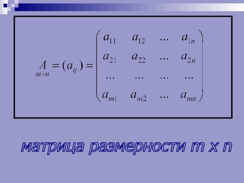 Размерность матрицы равна. Размерность матрицы. Матрица тема по математике. Размерность матрицы m n. Размеренность матрицы.