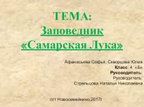 Презентация Заповедник Самарская Лука