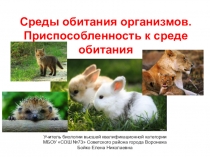 Среды обитания организмов. Приспособленность к среде обитания