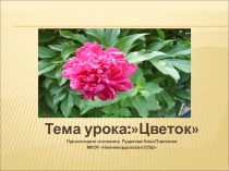 Презентация по биологии на тему Цветок