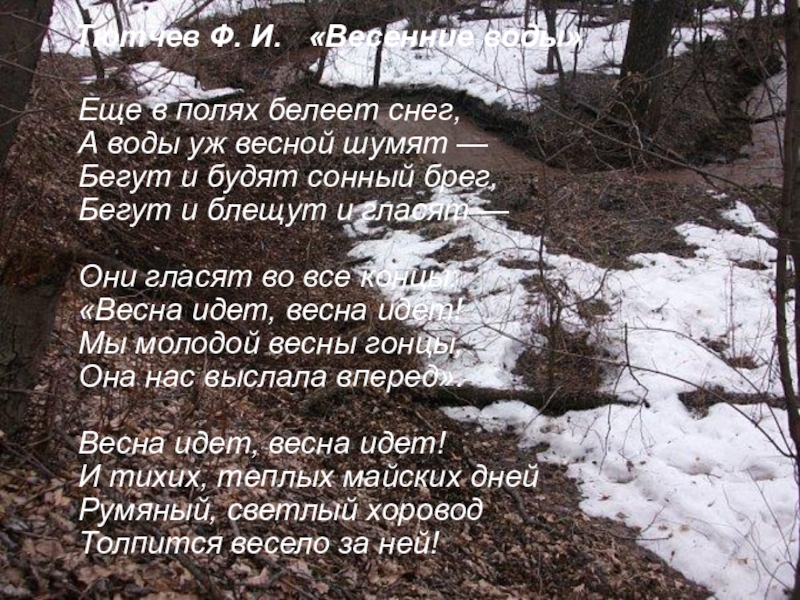 Стихотворение еще в полях белеет снег. Ещё в полях Белеет. Ещё в полях Белеет снег а воды уж весной шумят. Ещё в полях Белеет снег Тютчев. Ещё в полях Белеет снег а воды.