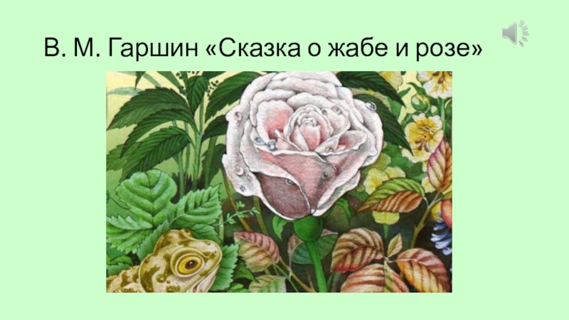 Иллюстрация к сказке о розе. Сказка о жабе и Розе. Жаба и роза. Гаршин сказка о жабе и Розе. В М Гаршин жаба и роза.