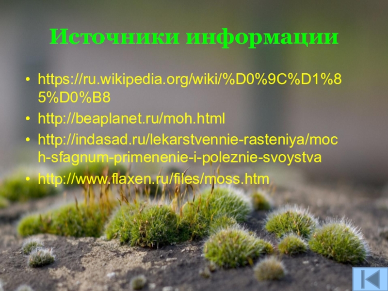 Мхи 7 класс. Гидрофильные растения. Свойства Moh. Фizikeskiy svoystva moci.