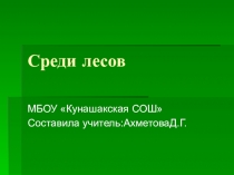 Презентация по окружающему миру на тему Среди лесов.