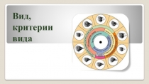 Презентация по биологии Вид, его критерии