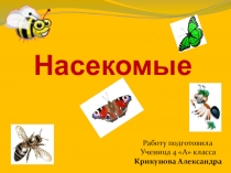Презентация Проект учащихся по теме:Насекомые - нужны ли они нам? Интересные факты о насекомых
