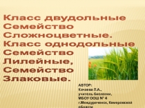 Презентация Семейство Сложноцветные. Семейство Лилейные. Семейство Злаковые.