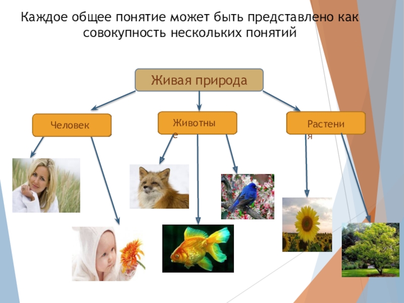 Каждому общее. Понятие живого дома. Понятие Живая линия.