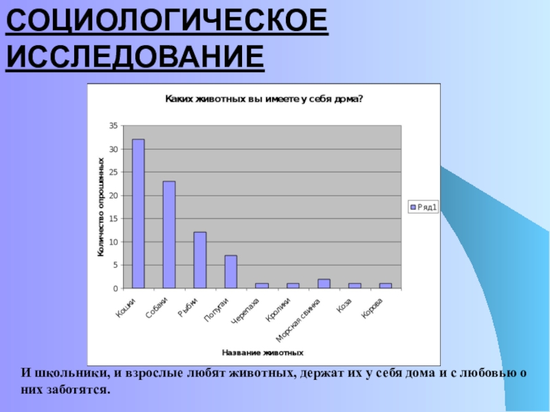 Проект влияние домашних животных на здоровье человека