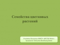 Презентация по биологии на тему  Семейства класса Однодольные (6 класс)