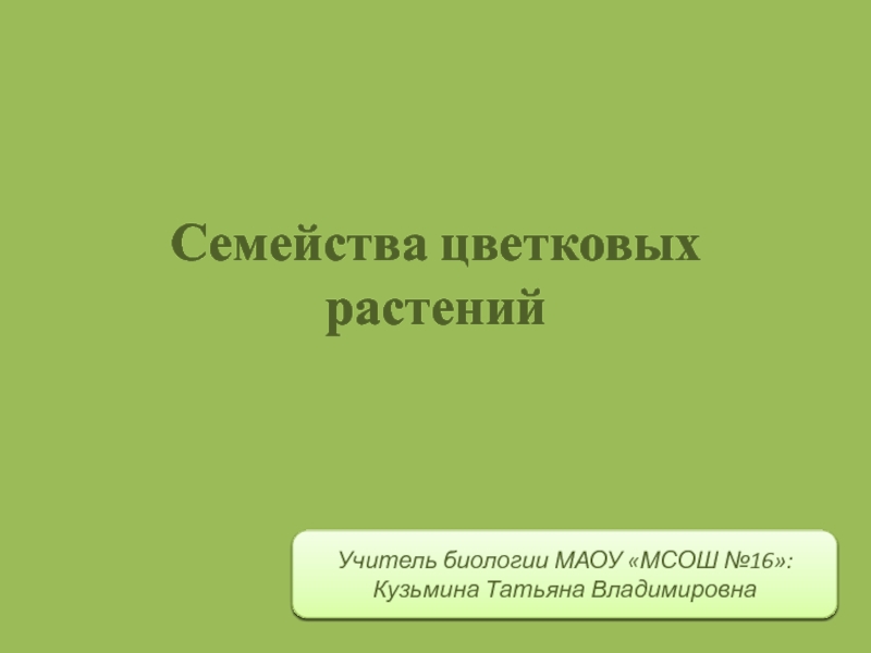 Презентация класс однодольные 6 класс