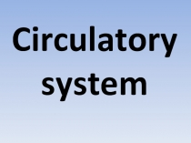 Презентация по биологии на тему Кровеносная система
