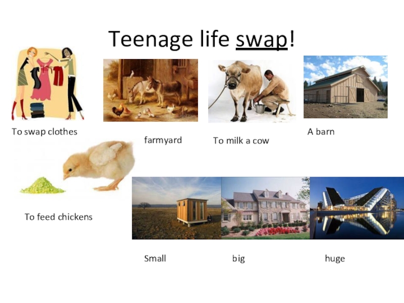 Teenage Life Swap