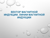 Презентация по физике в 11 классе Вектор магнитной индукции