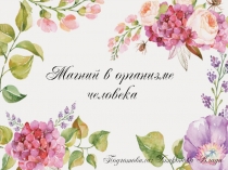 Магний в организме человека