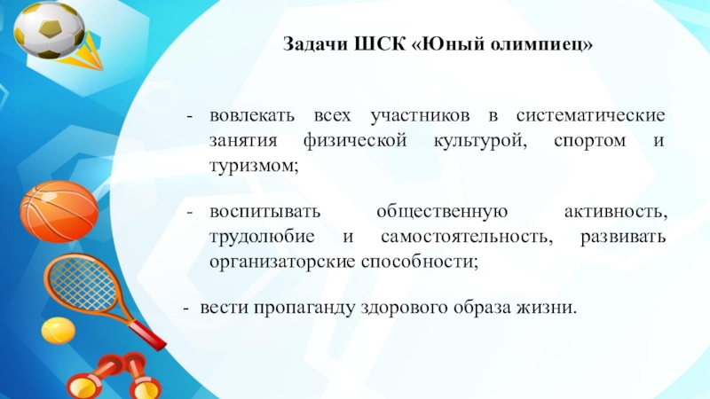 Школьный спортивный клуб проект