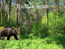 Презентация по марийскому (государственному) языку на тему Янлык-влак