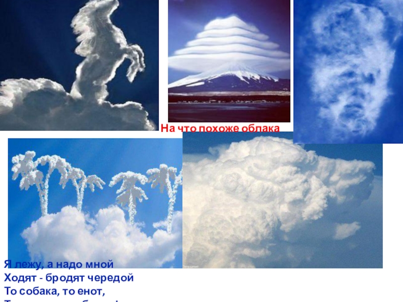 Подобно туче. На что похоже облако. Игра на что похожи облака. Облака похожие на животных. На что похоже облако картинки.