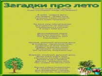 Много радости и света дарит нам с тобою лето!