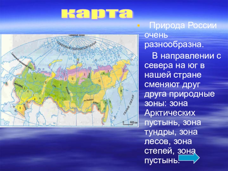 Тема карта 4 класс. Природные зоны России с севера на Юг 4 класс окружающий мир. Природные зоны с севера на Юг 4 класс окружающий мир. Расположение природных зон России с севера на Юг. Природные зоны России с севера на Юг на карте.