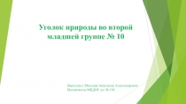 Презентация для дошкольников Уголок природы