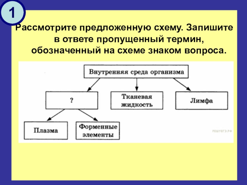 Пропусти ответ. Рассмотрите предложенную схему. Рассмотрите предложенную схему запишите в ответе пропущенный термин. Запиши понятие, пропущенное в схеме. ￼. На схеме знаком вопроса обозначено ….