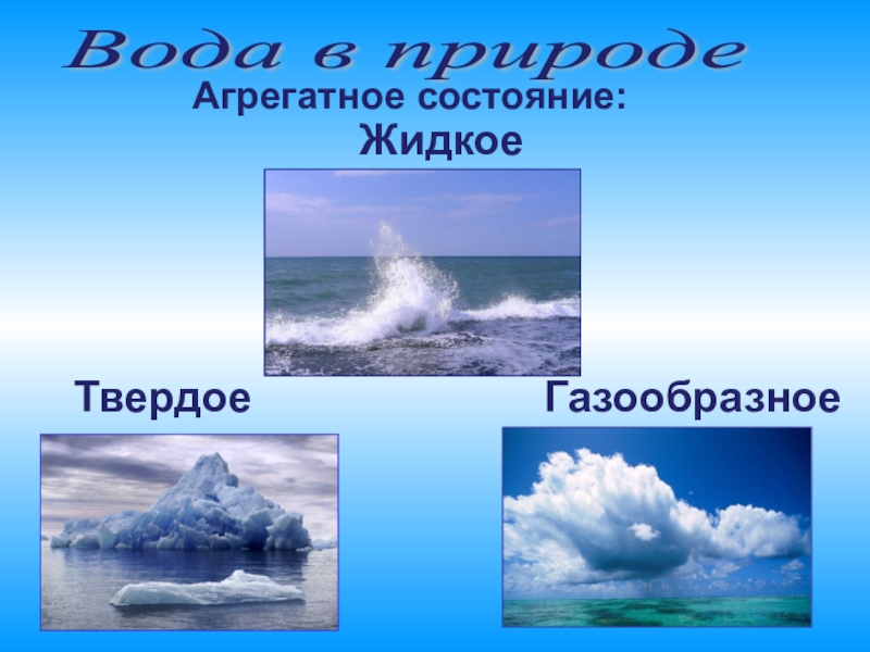 Презентация вода в природе 8 класс