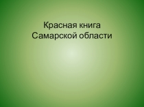 Презентация по внеурочной деятельности по краеведению