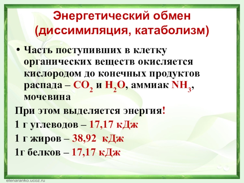 Энергетический обмен (диссимиляция, катаболизм)Часть поступивших в клетку органических веществ окисляется кислородом до конечных продуктов распада – СО2