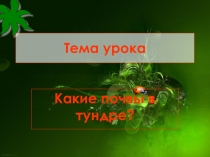 Презентация по природоведению на тему Почвы тундр (5 класс)