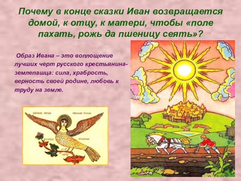 Почему в конце сказки Иван возвращается домой, к отцу, к матери, чтобы «поле пахать, рожь да пшеницу