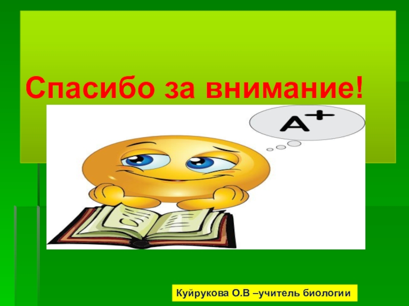 Презентация на тему внимание. Спасибо за внимание учитель биологии.