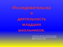 Презентация Исследовательская деятельность детей младшего возраста