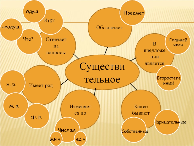 Проект существительное 4 класс