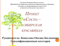 Презентация Проект Сосна - сибирская красавица